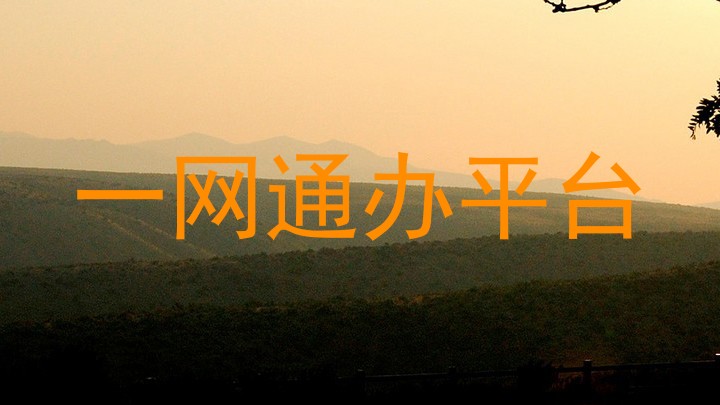 一网通办平台
