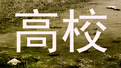高校