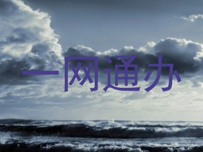 一网通办