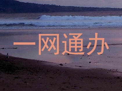 一网通办