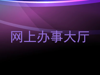 网上办事大厅