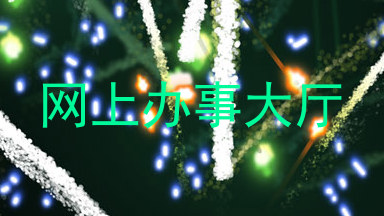 网上办事大厅