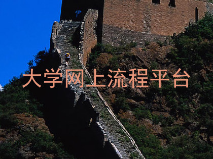 大学网上流程平台