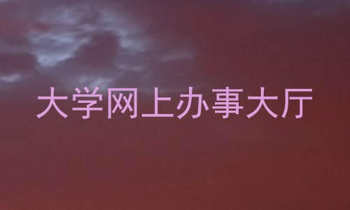 大学网上办事大厅