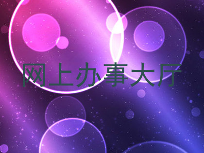 网上办事大厅