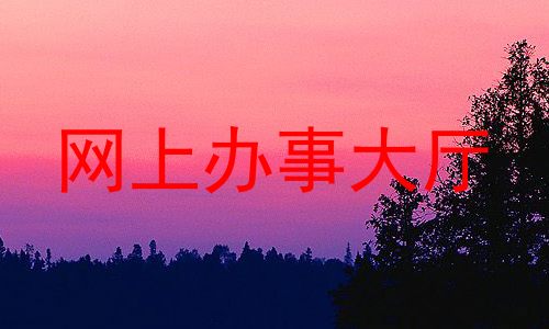 网上办事大厅