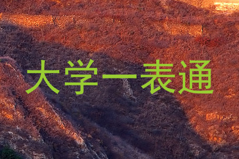 大学一表通