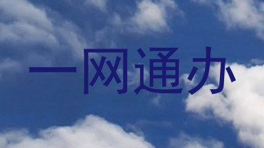 一网通办