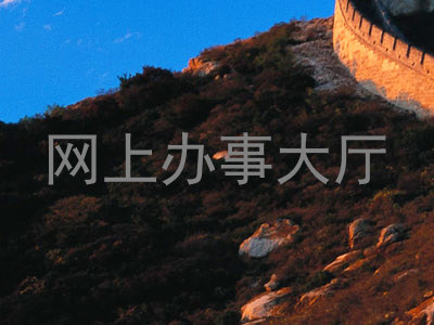 网上办事大厅