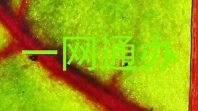 一网通办