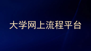 大学网上流程平台