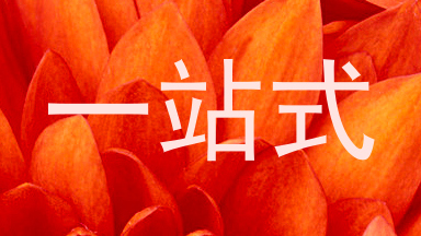 一站式