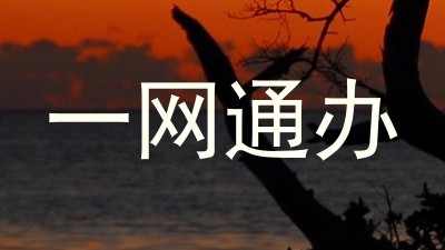 一网通办