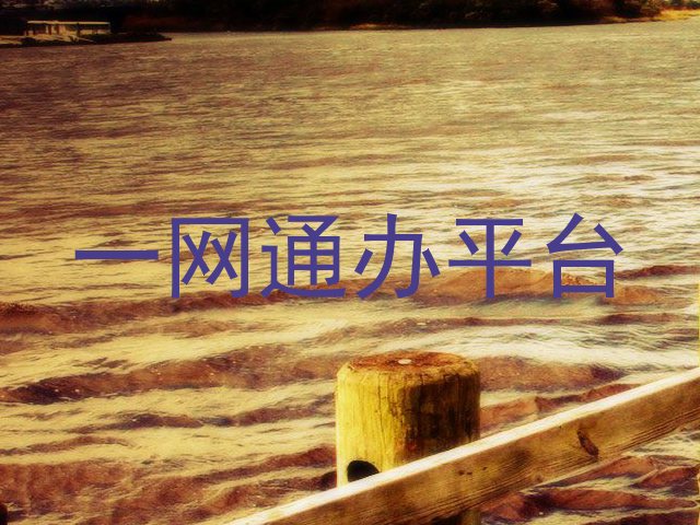 一网通办平台