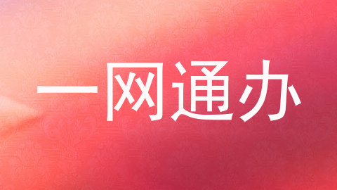 一网通办