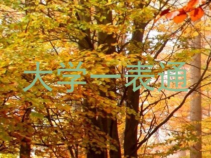 大学一表通