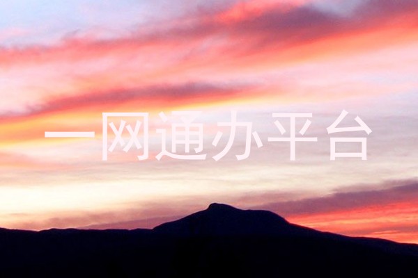 一网通办平台