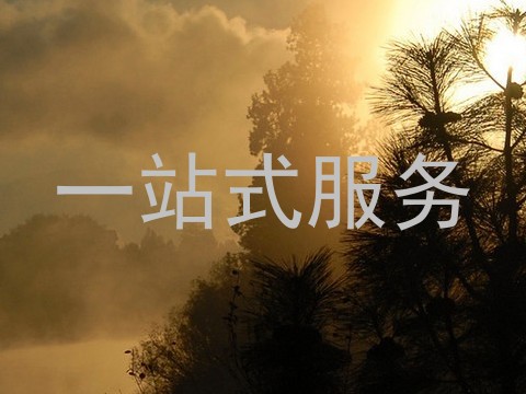 一站式服务