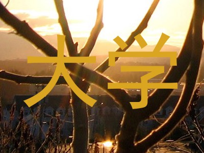 大学
