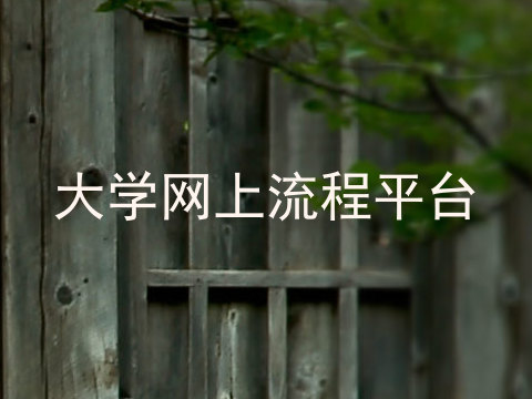 大学网上流程平台