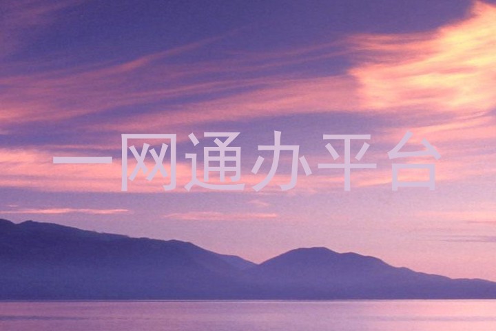 一网通办平台
