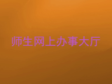 师生网上办事大厅