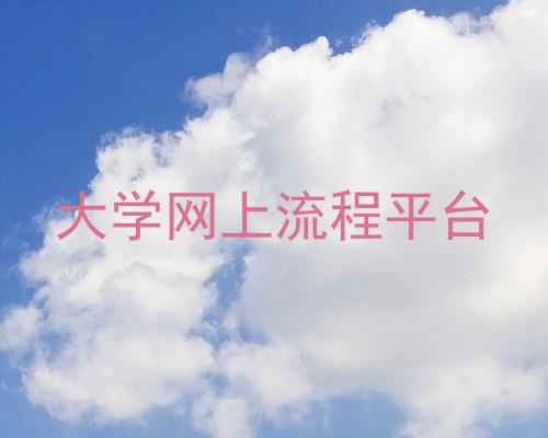 大学网上流程平台