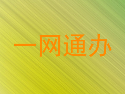 一网通办
