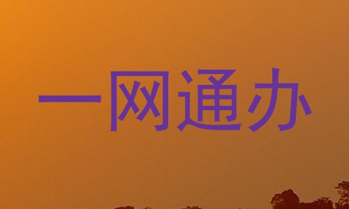 一网通办