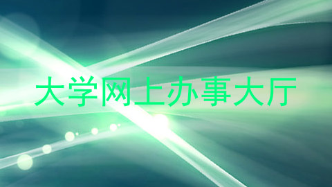 大学网上办事大厅