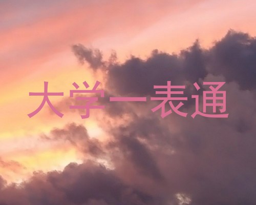 大学一表通