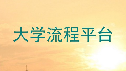 大学流程平台