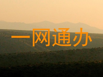 一网通办