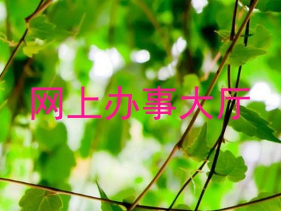 网上办事大厅