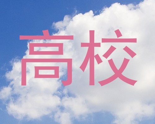 高校
