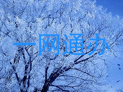 一网通办
