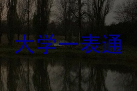 大学一表通