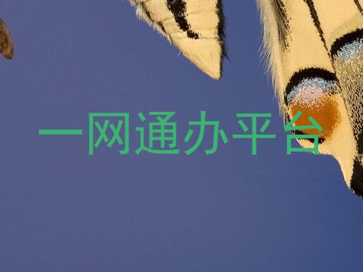 一网通办平台