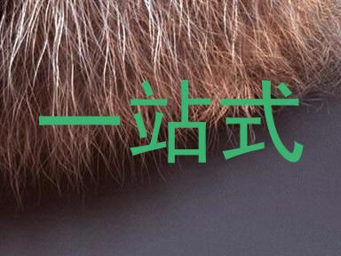 一站式