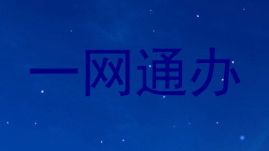 一网通办