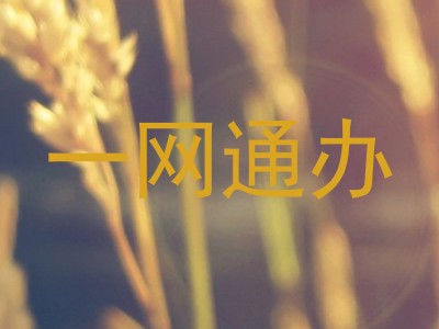 一网通办