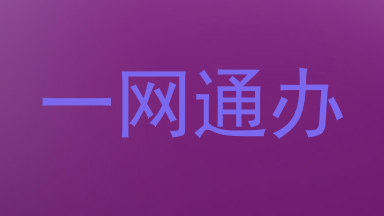 一网通办
