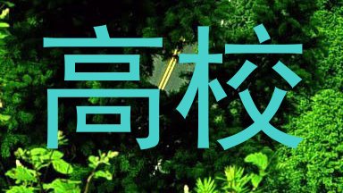 高校