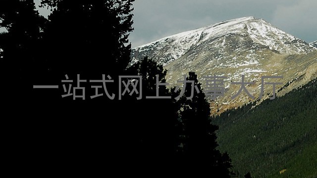 一站式网上办事大厅