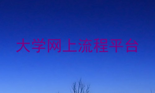 大学网上流程平台
