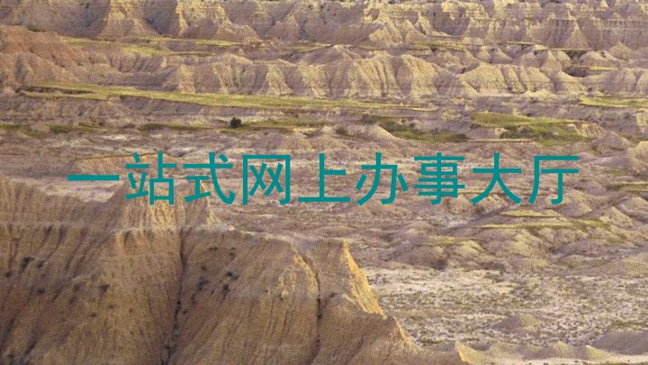 一站式网上办事大厅