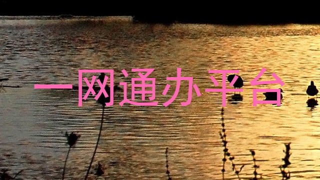 一网通办平台