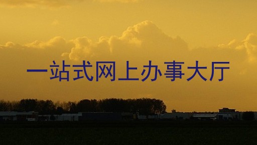 一站式网上办事大厅