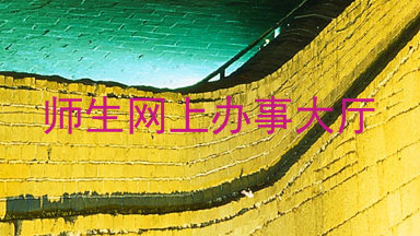 师生网上办事大厅
