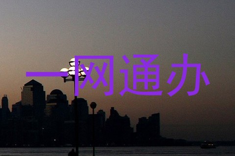 一网通办